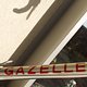 Gazelle AA-Frame 1980 20