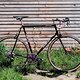Gazelle CM 731os 1x11