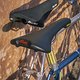 SELLE ITALIA 2024 FLITE 1990 - TURBO 1980 action2