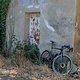 Argon18 Sum