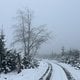 Weihnachtsrunde im Schneenebel