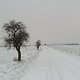 19.12.09 Schnee-Geländet our + Platten