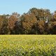 Gravel-Tour bei sonnigem Herbstwetter