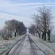 Wirtschaftsweg zwischen Brachstedt und Kütten  *Winter Allee*