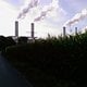 Riesen Mais Wolkenfabrik