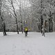 Sophienberg mit Ivko - erster Schnee