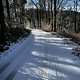 Plesch mit Schnee Römaskogl