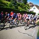 Tour de Suisse, Regensberg